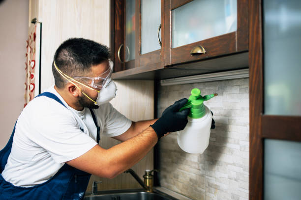 Best Best Pest Control Companies  in San Felipe Pueblo, NM