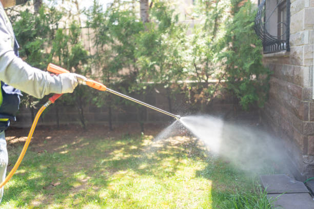 Reliable San Felipe Pueblo, NM Pest Control Solutions
